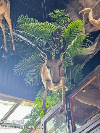 ▲▼台南仰角舶物的動物標本博物館。（圖／《史努比遊樂園》授權提供）