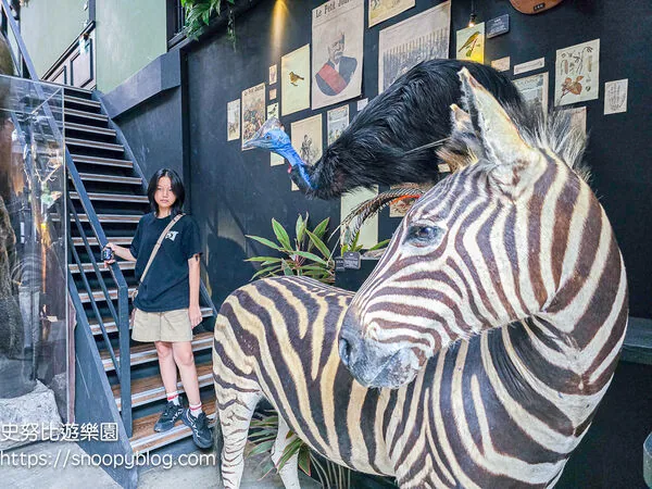 ▲▼台南仰角舶物的動物標本博物館。（圖／《史努比遊樂園》授權提供）