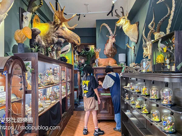 ▲▼台南仰角舶物的動物標本博物館。（圖／《史努比遊樂園》授權提供）