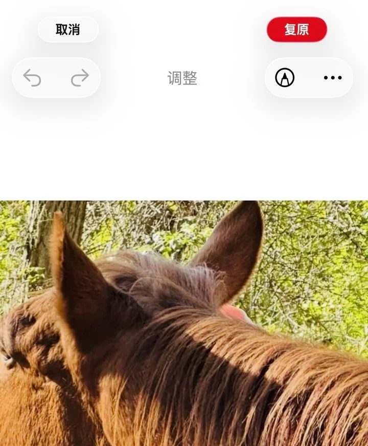 iPhone 18 Pro 开售 AI修图能凭空生成陌生人 9 Image