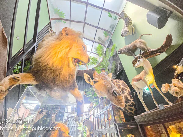▲▼台南仰角舶物的動物標本博物館。（圖／《史努比遊樂園》授權提供）