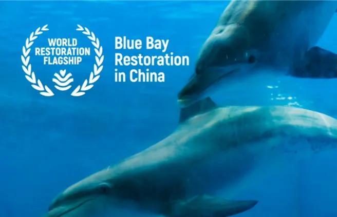陸藍色海灣整治獲聯合國世界生態恢復旗艦計畫肯定　194項工程修復逾2000公里海岸線。圖為修復後老市村鹽田。（大陸央廣網中國之聲╱大陸自然資源部）