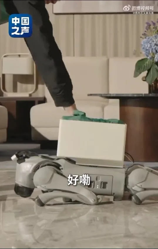 中國第二例侵入式腦機接口臨牀患者張先生，分享手術後生活，僅憑意念，就能操控輪椅在公園散步，亦可指揮機械狗取回外賣。（中國之聲）