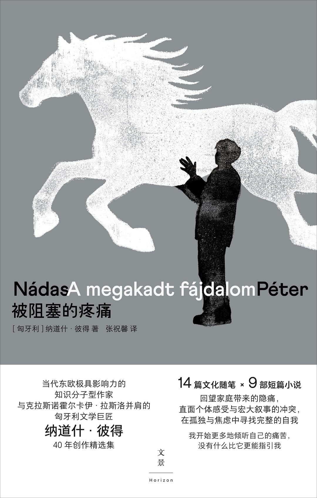 纪念|匈牙利作家纳道什·彼得,留下了怎样的文学遗产 2 e1fe10ad6135185a7e8856324f92769bd9d7837833aae53ff265784bfdb7e48e article