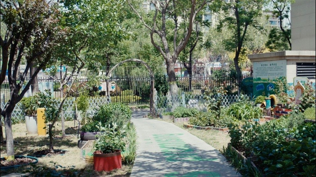 青岛社区堆肥实验:厨余落叶鸡粪变肥沃土壤 3 e2b3ca58d244007cf1a512ab522fd5991b57033bb057707bcbefdd173e075a41 article