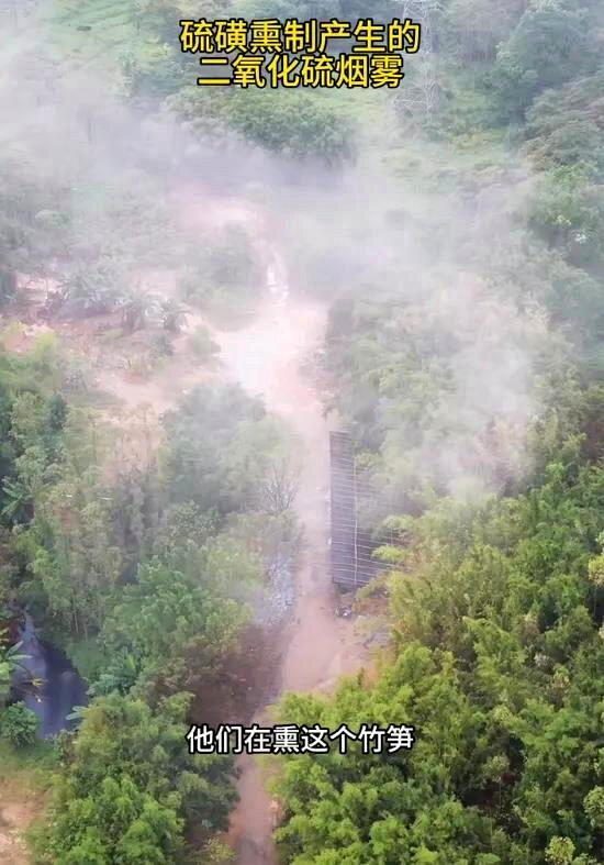 知名博主「漁獵齊哥」再發視頻，指控廣東清遠有加工點違法使用硫磺熏製麻竹筍。（取材...