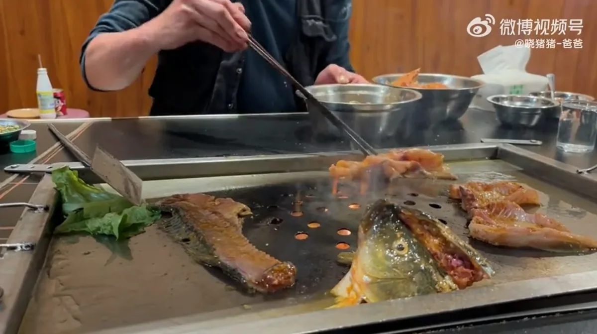 中國內地近期餐飲市場吹起「中式板前」風潮，部分餐點每人平均消費僅人民幣30至50元，卻能享受廚師當面烹調、直接遞上餐點的服務，成為不少上班族及年輕情侶的新選擇。（微博@曉豬豬-爸爸）