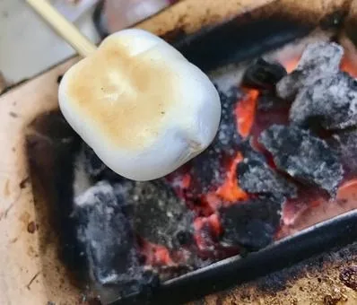 免费烧烤场推介|政府辖下34大免费BBQ场 行山郊游+遍布港九新界 3 (圖片來源:photo-ac)