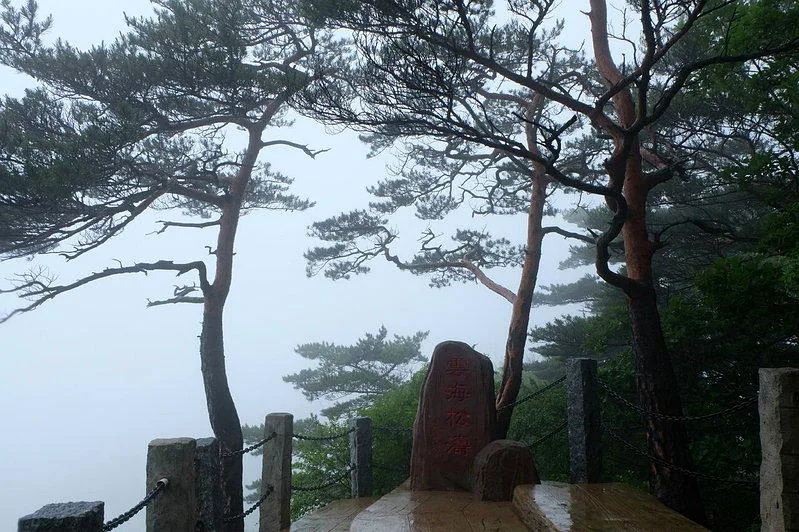 雲海松濤景點。(圖皆為作者提供)