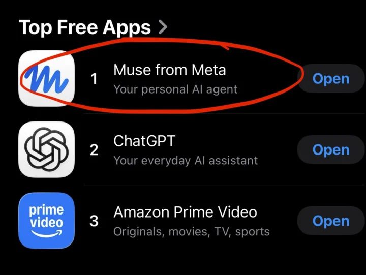 苹果前设计主管操刀 Meta造AI电子宠物Muse Charm 1 Image