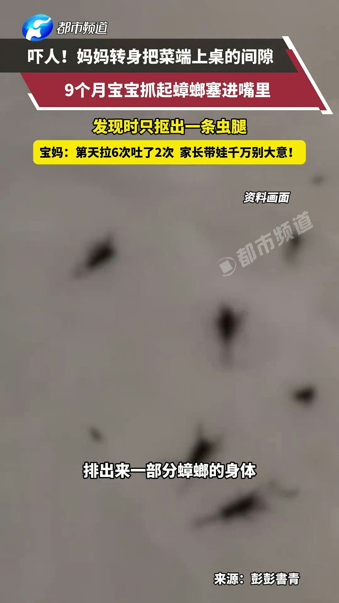 近日，湖南一寶媽轉身瞬間，9個月寶寶竟吃了隻蟑螂！等發現的時候蟑螂已經在寶寶嘴裏爆漿，她手忙腳亂摳了半天，只摳出來一條蟲腿。寶寶第二天拉了6次吐了2次，排泄物裏能看到蟑螂殘體。（截取自微博@都市報道）